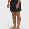 Bañador All Day Layback de 16 pulgadas Bañador All Day Layback de 16 pulgadas