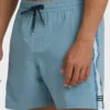 Bañador Dbah Panel Layback