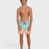 Bañador Layback de 16″ Bañador Layback de 16″