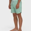 Boardshorts 73 Pro de 18″