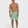 Boardshorts 73 Pro de 18″