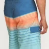 Boardshorts All Day Stripe Pro Performance de 50 cm Boardshorts All Day Stripe Pro Performance de 50 cm
