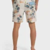 Boardshorts Good Times Lo Tides de 18″ Boardshorts Good Times Lo Tides de 18″