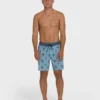 Boardshorts Good Times Pro de 18″ Boardshorts Good Times Pro de 18″