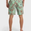 Boardshorts Sundays Lo Tides de 18″