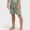Boardshorts Sundays Lo Tides de 18″