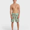 Boardshorts Sundays Lo Tides de 18″