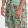 Boardshorts Sundays Lo Tides de 18″