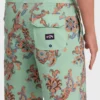 Boardshorts Sundays Lo Tides de 18″
