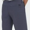 Pantalones cortos híbridos Primary Submersible de 19″ Pantalones cortos híbridos Primary Submersible de 19″